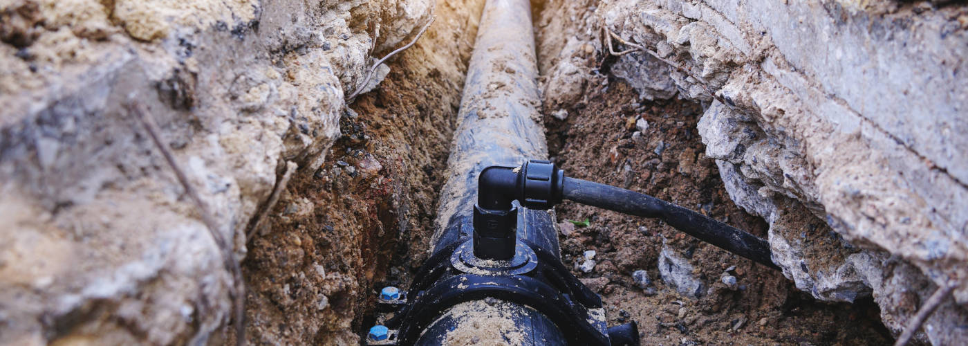 Featured Image for SANACT, INC.